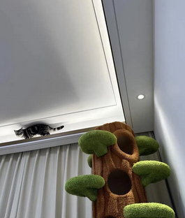 Foto da avaliação João 2